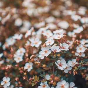 Meet your Posher, Carolyn